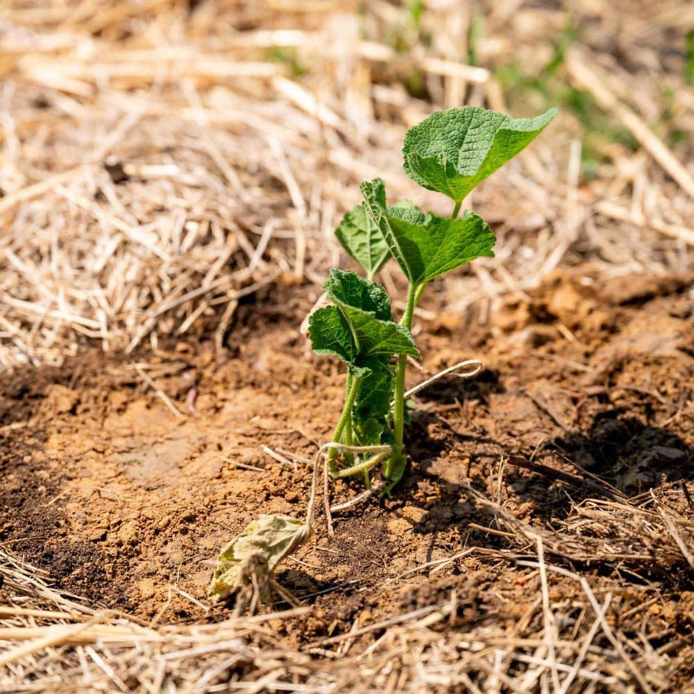 Citizens Fecamp Normandie Reportage Portrait2